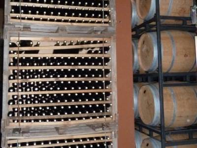 Visita enológica a Peñafiel – Ribera del Duero; equipo de senderismo